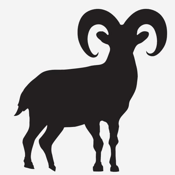 Mountain Goat - Symbol of determination and resilience